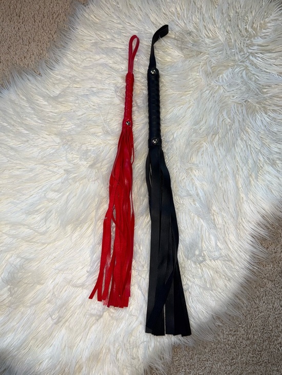 Accessories - Set of 2 whips.